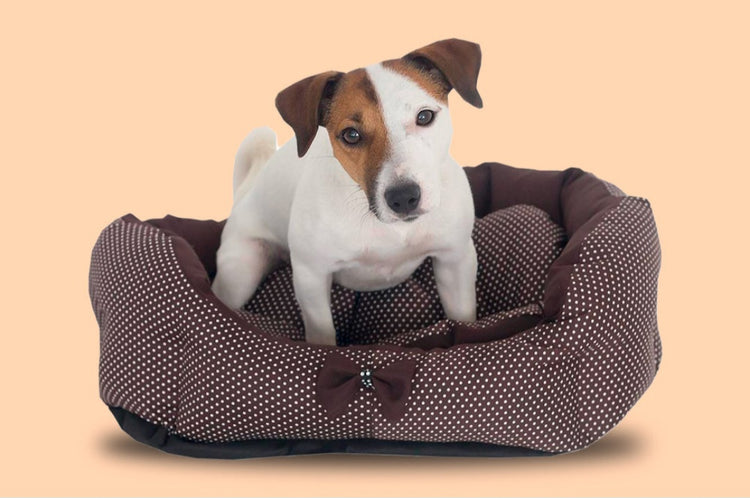 Comfy bedden & manden