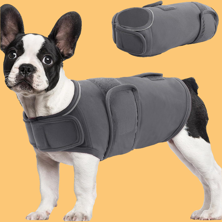 Gezondheid & Vitaliteit hond