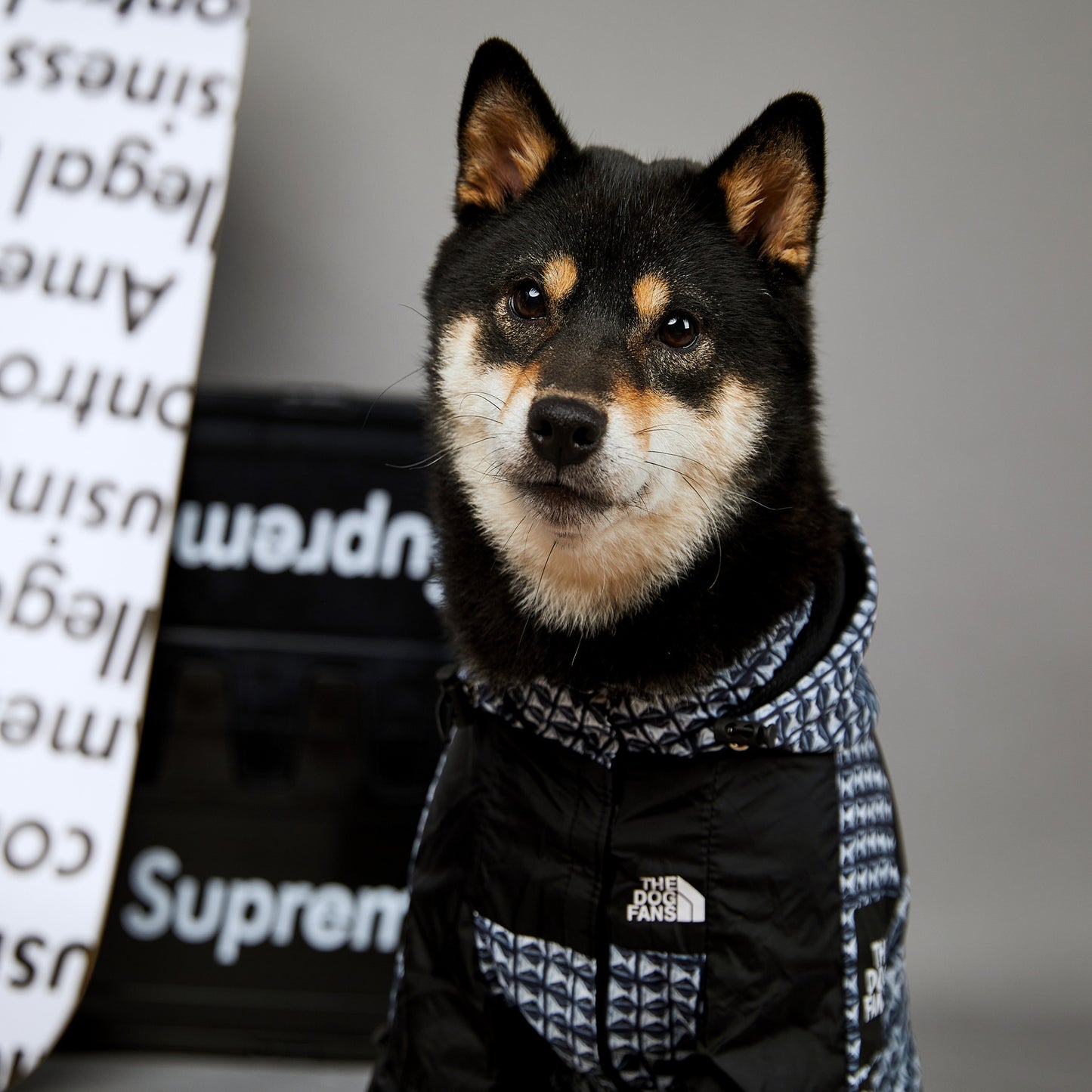 Waterproof regenjas voor honden