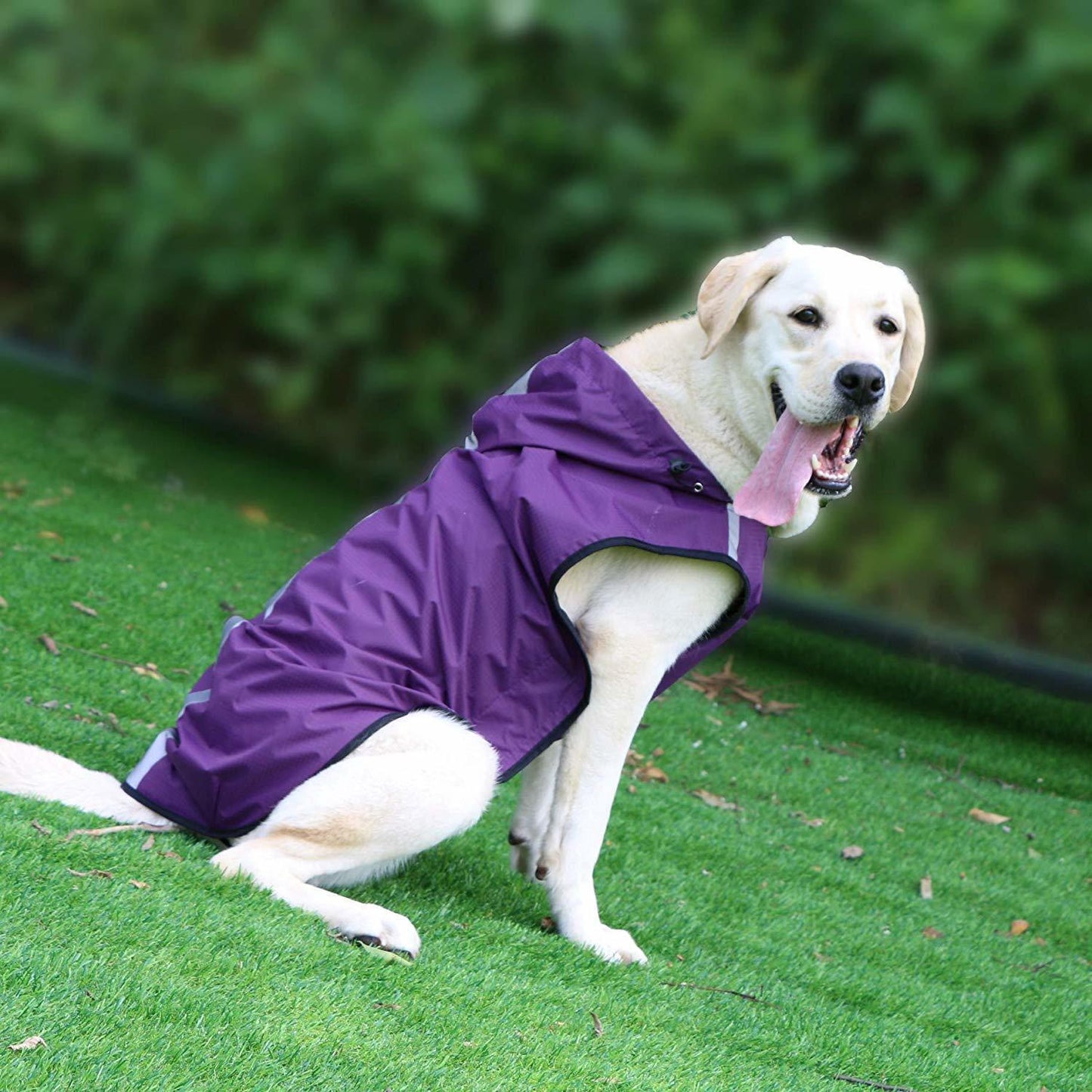 Waterproof regenjassen