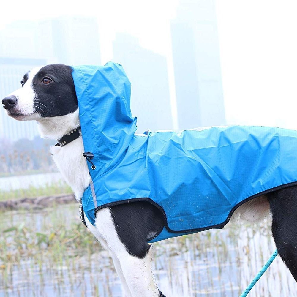 Waterproof regenjassen