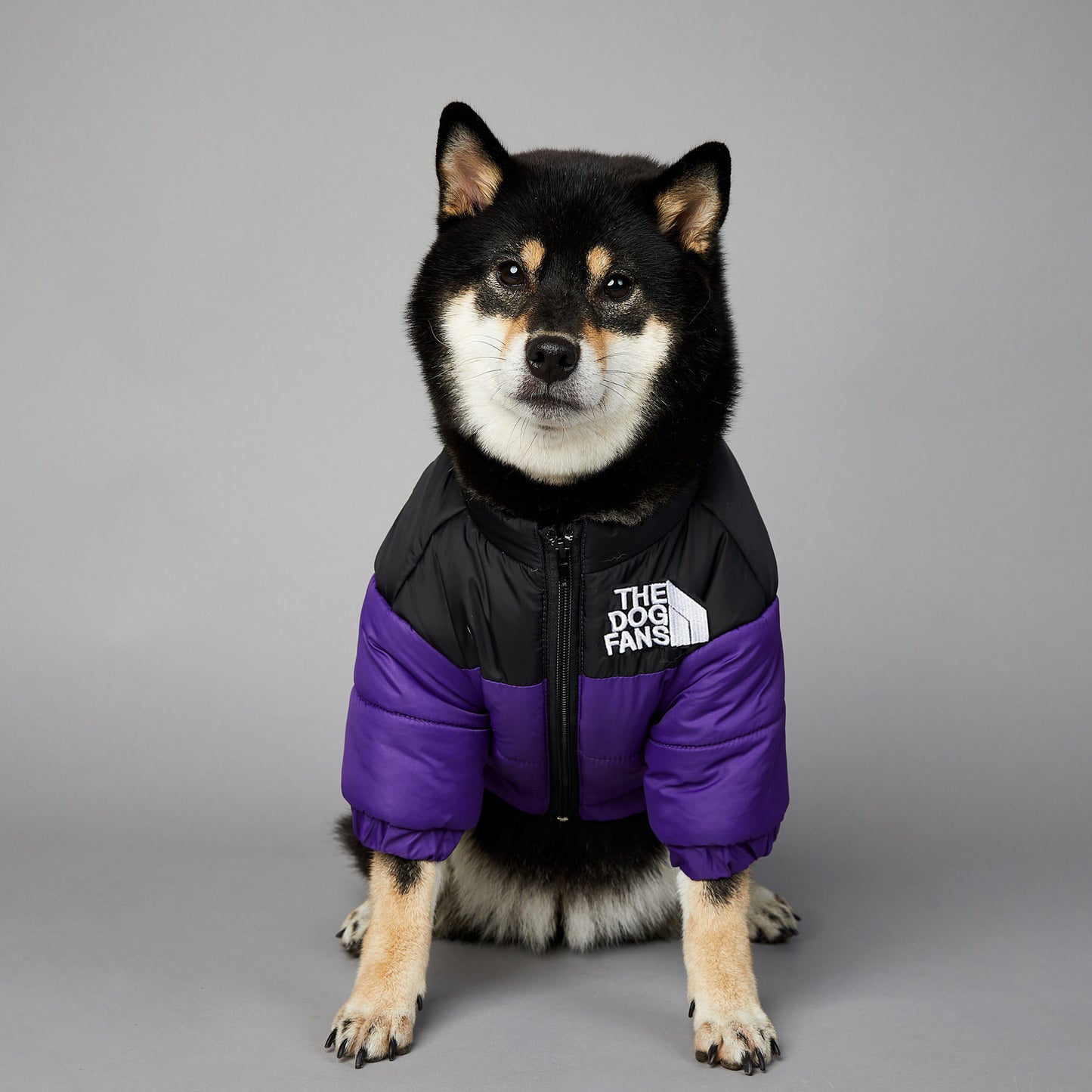 Waterproof en winddichte winterjas