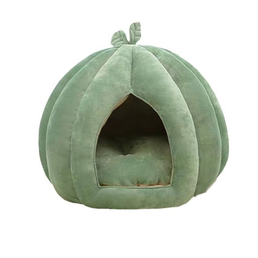 Cozy vier seizoenen cactuscave