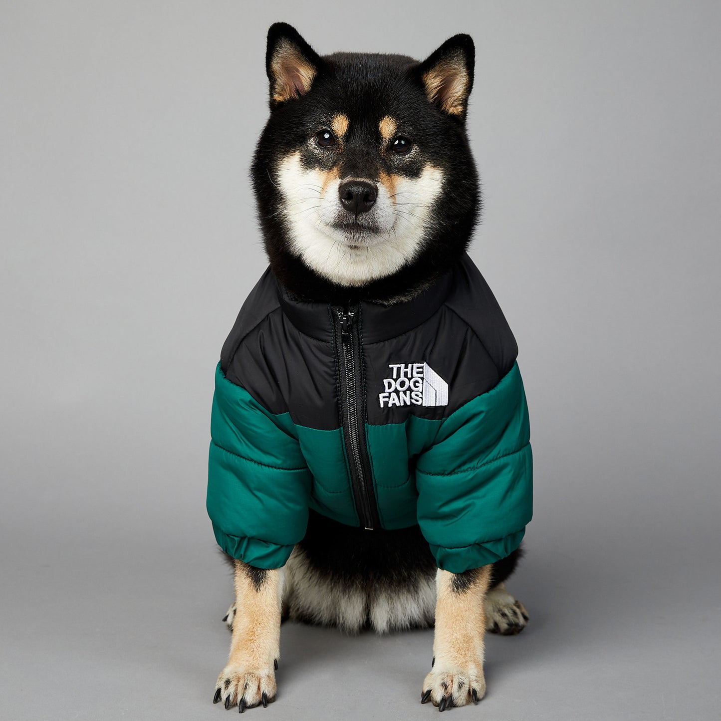 Waterproof en winddichte winterjas