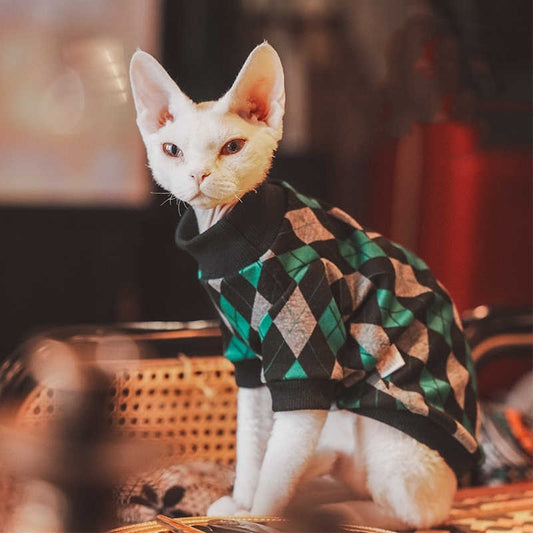 Hip katoenen truitje voor katten