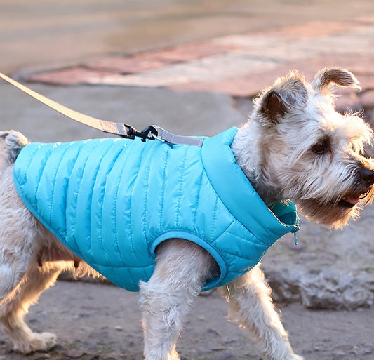 NIEUWE COLLECTIE! Warme winterjasjes in verschillende kleuren