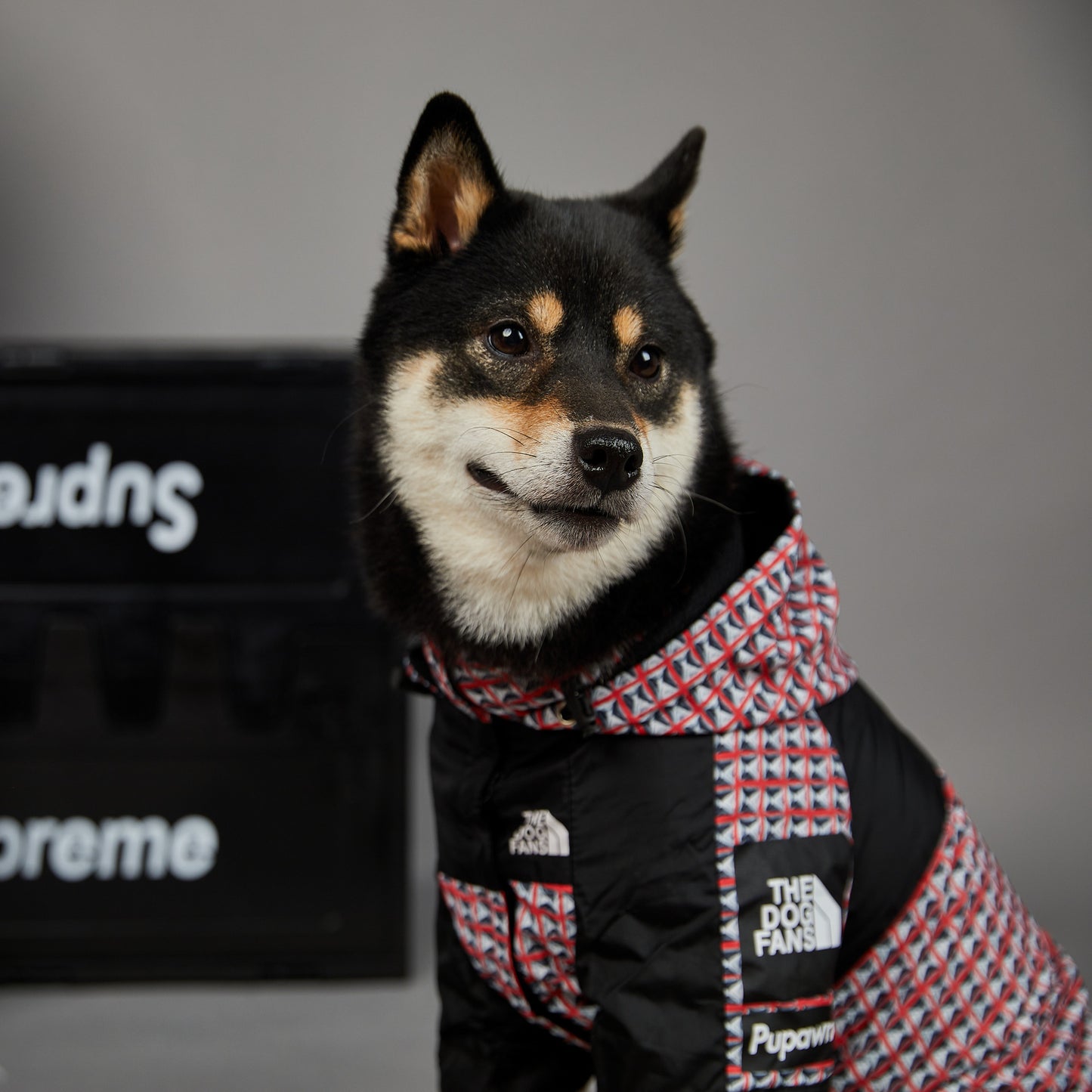 Waterproof regenjas voor honden