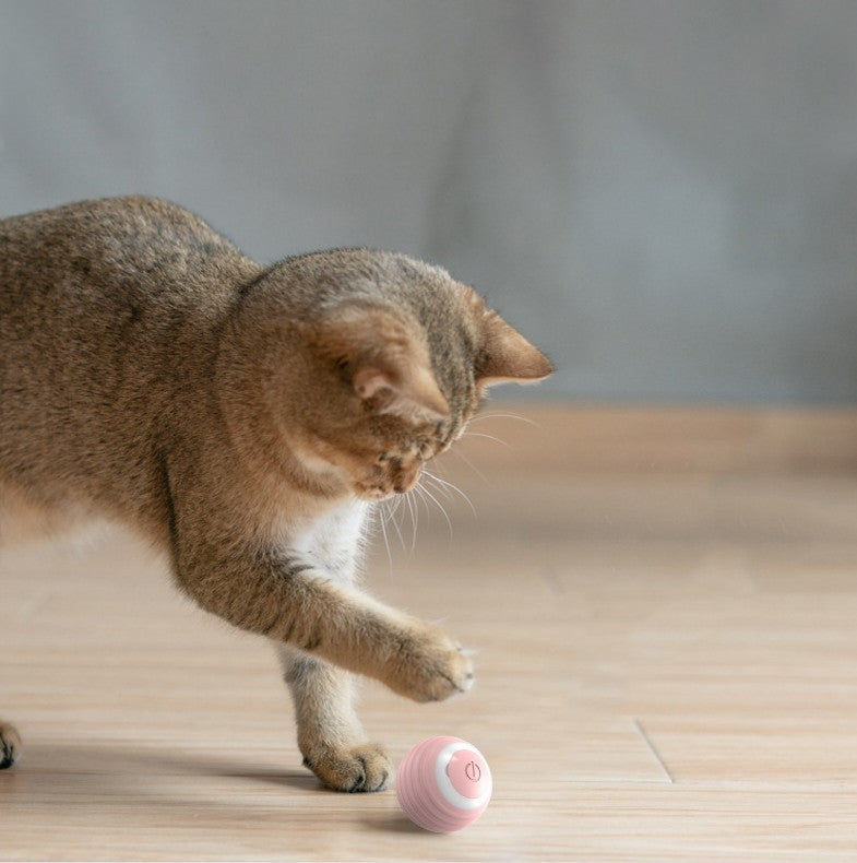 1+1 GRATIS interactieve speelbal