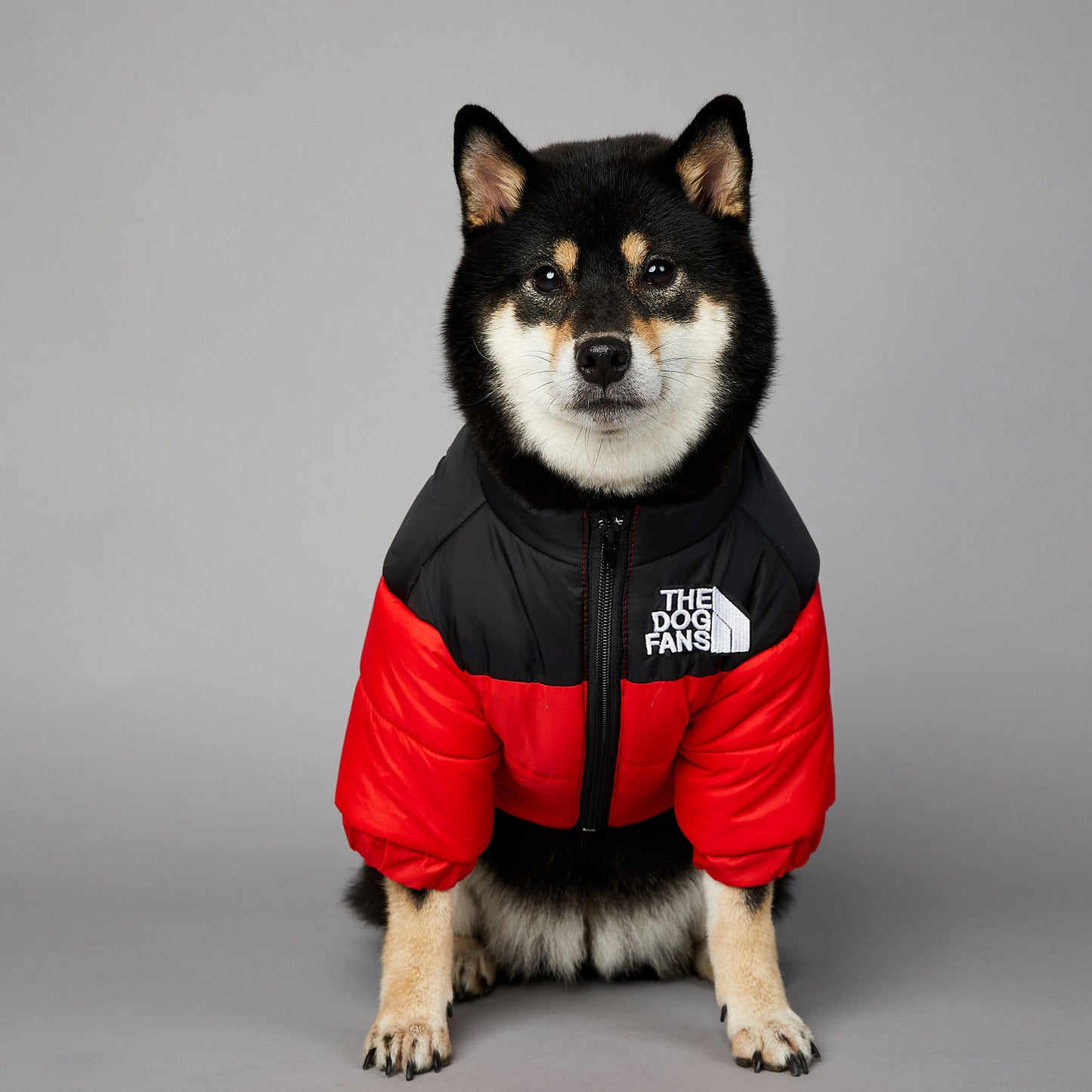 Waterproof en winddichte winterjas