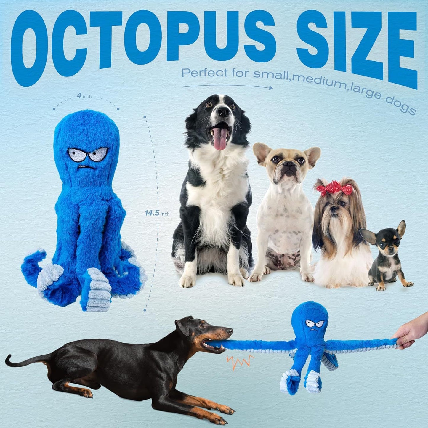 Grumpy octopus