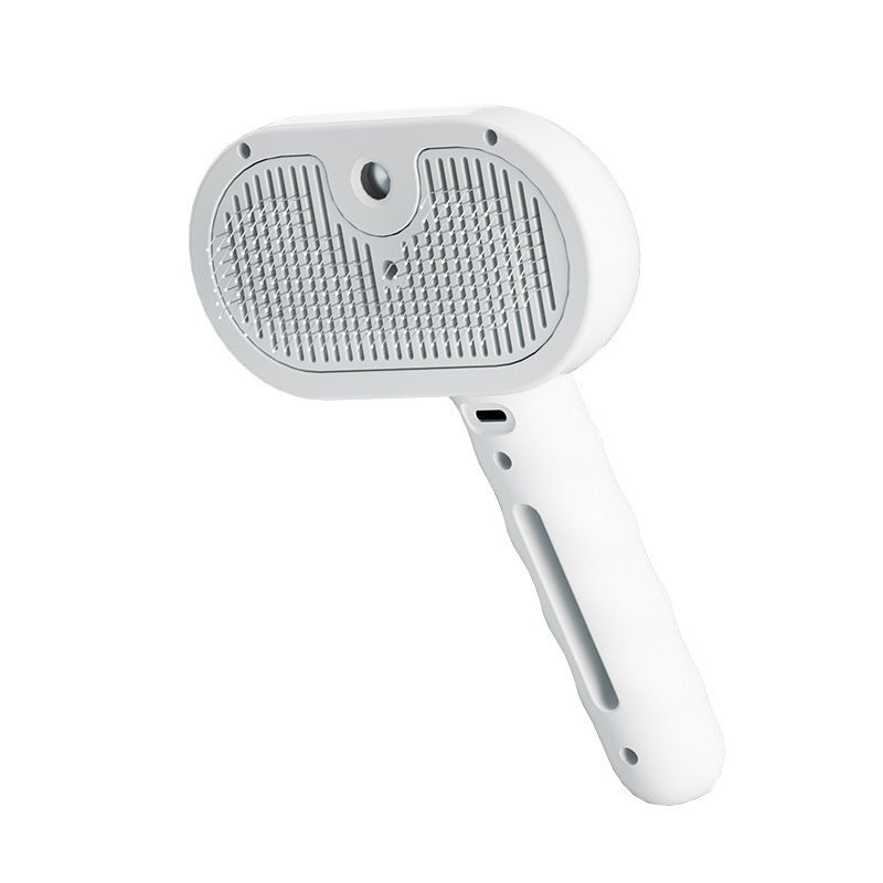 Professionele wellness stoomborstel SteamPro