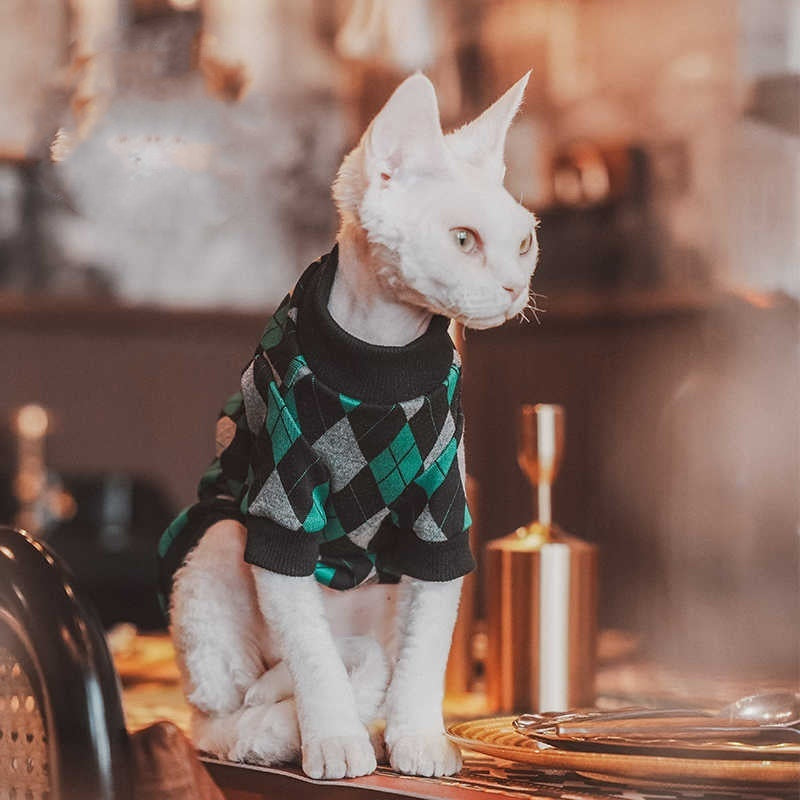 Hip katoenen truitje voor katten