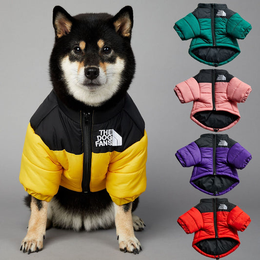 Waterproof en winddichte winterjas