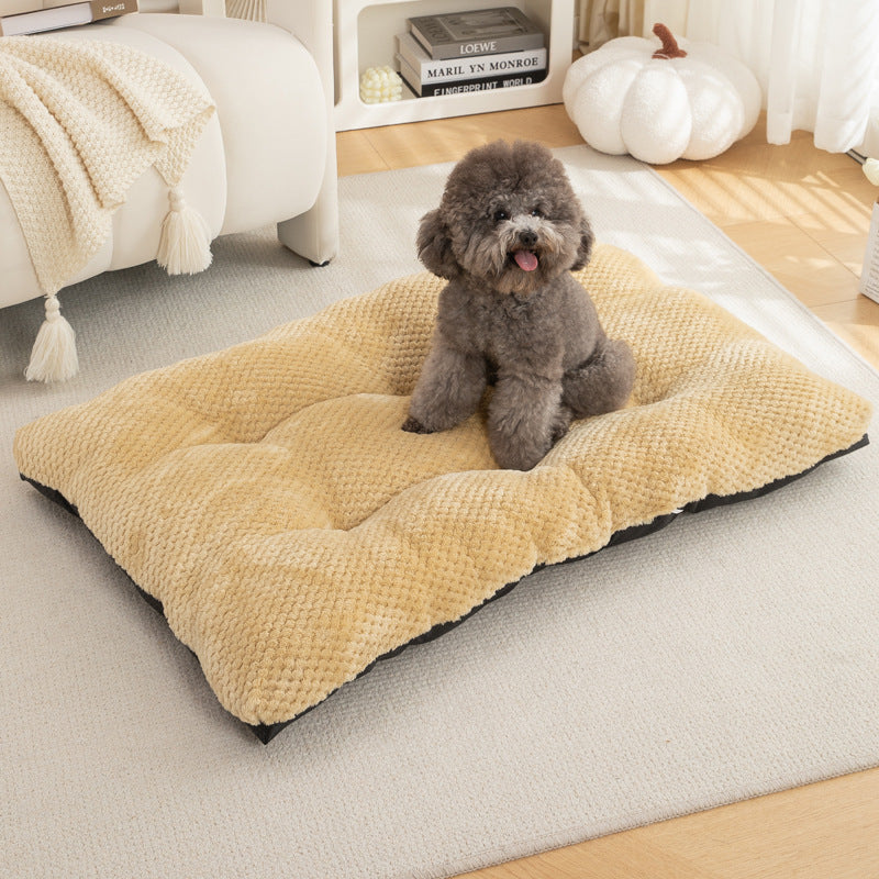 Extra comfortabele kussens