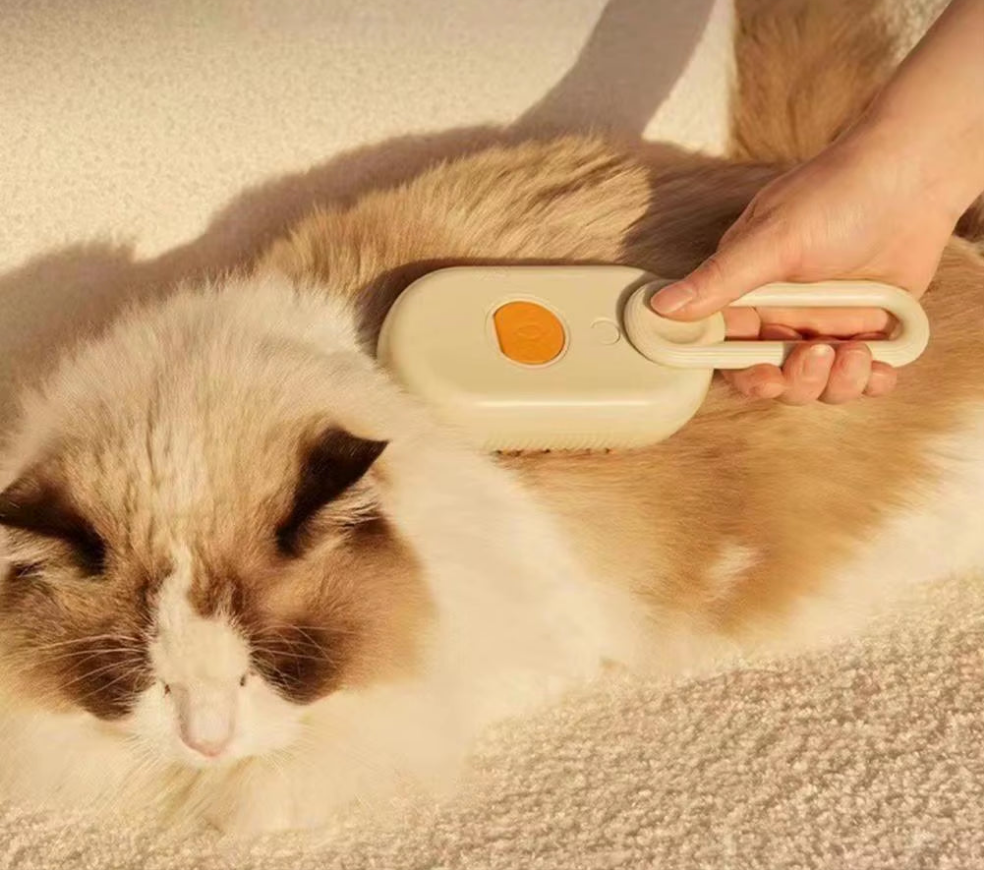 4-in-1 wellness borstel met stoom