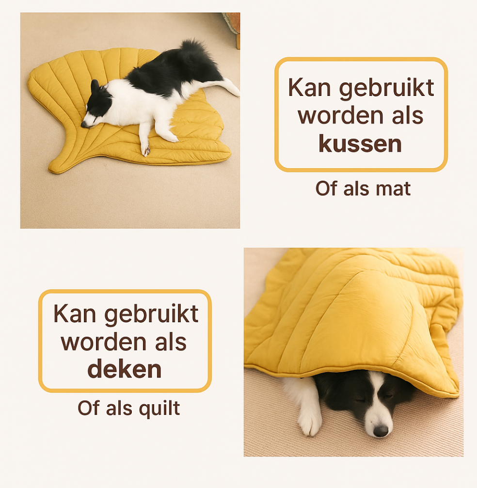 Hippe matjes in bladvorm
