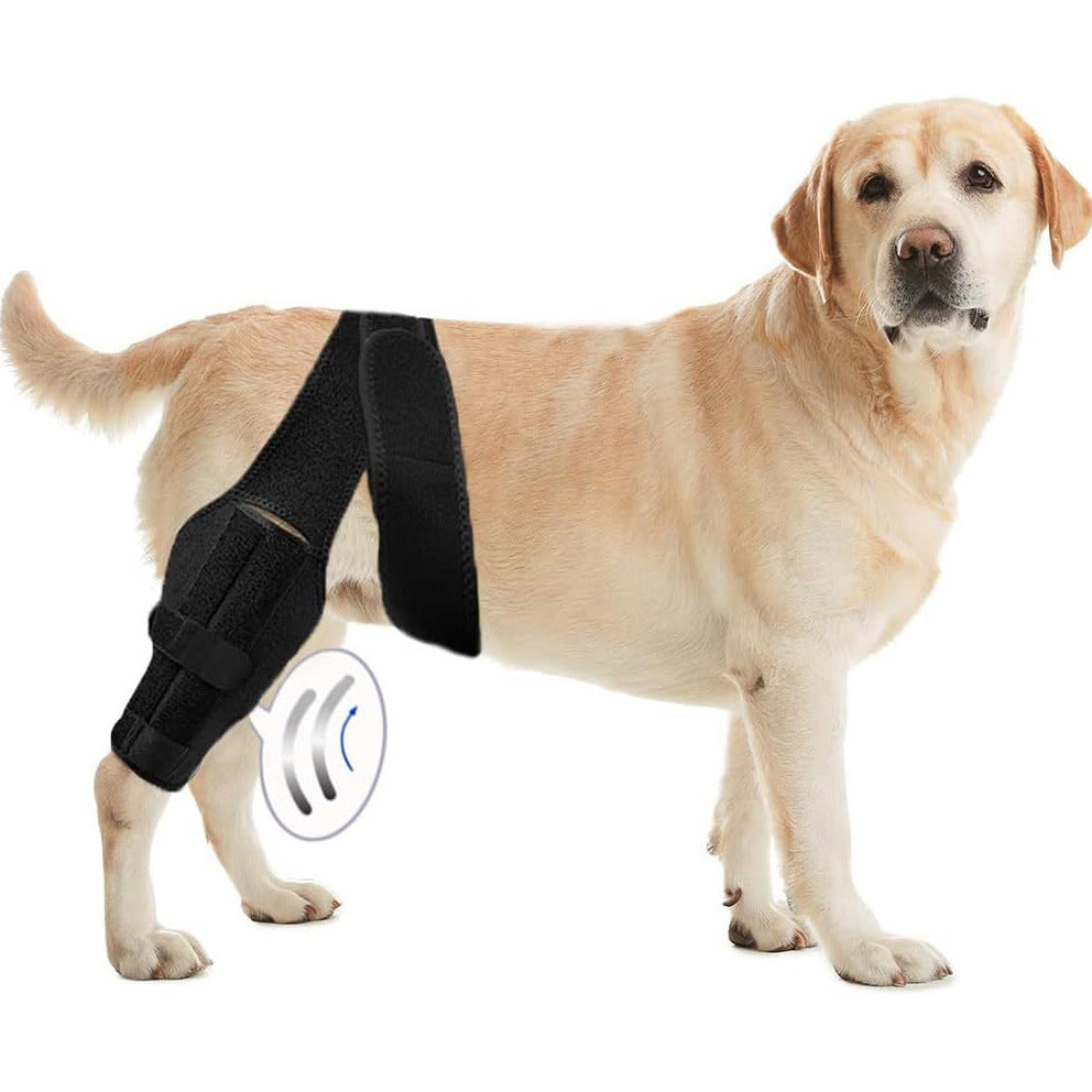 Rehabilitatie trainingsriem
