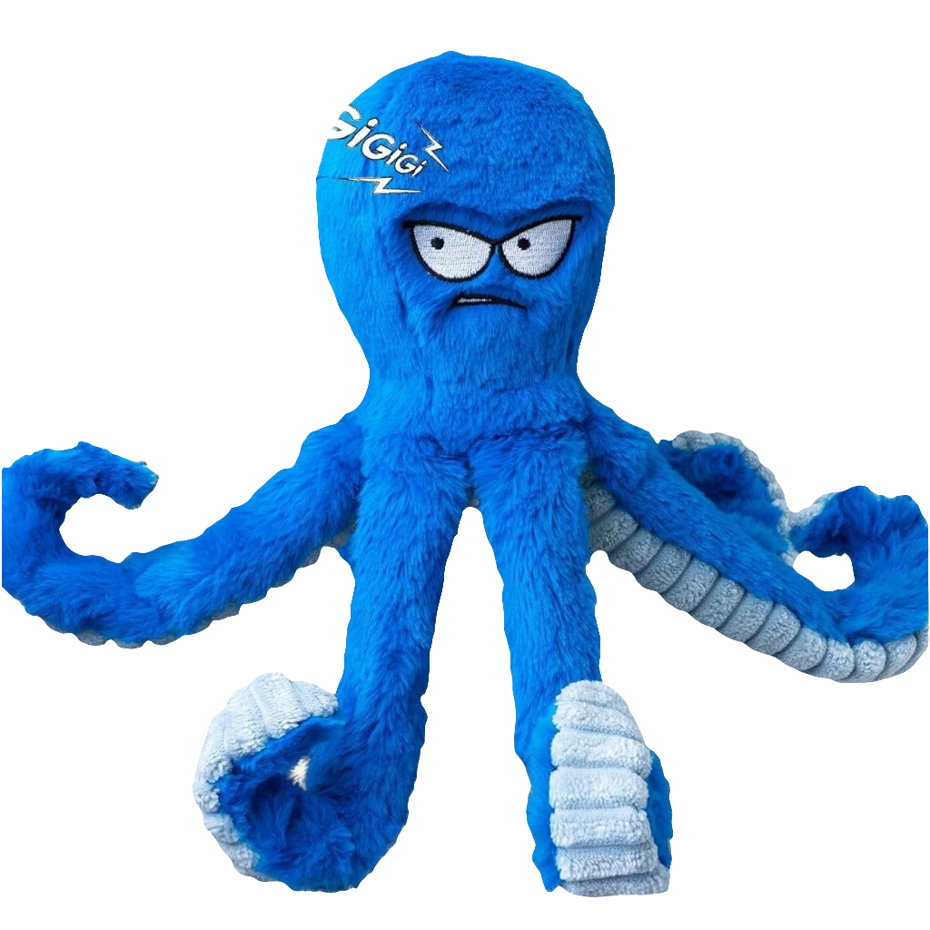 Grumpy octopus