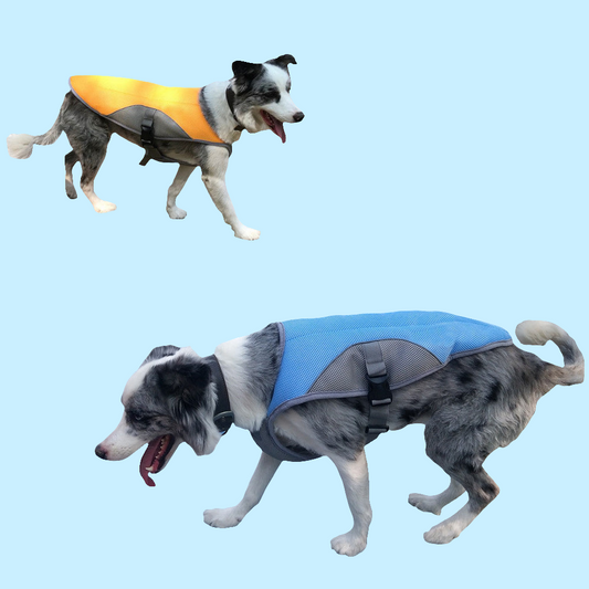 Koelvest hond
