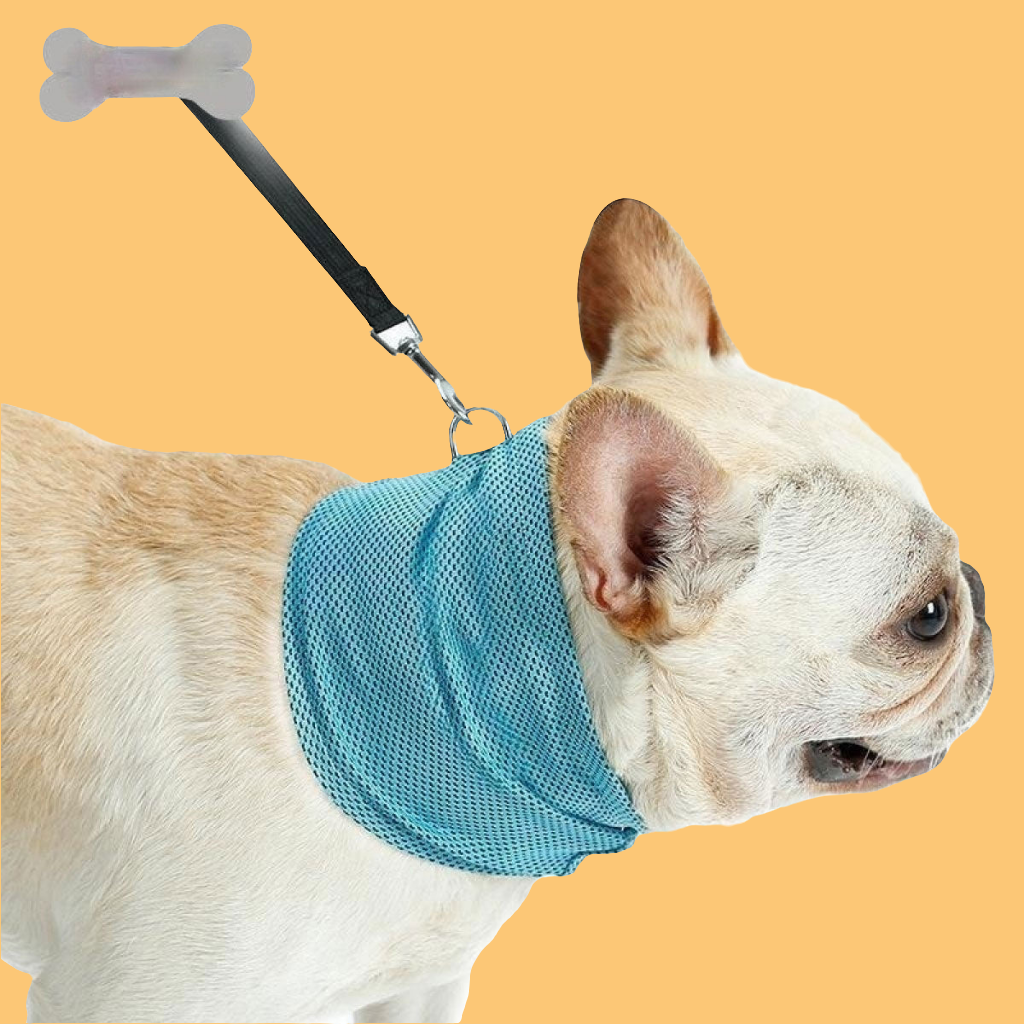 Instant koelende bandana