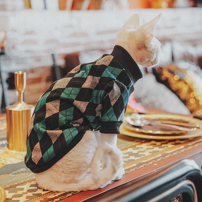 Hip katoenen truitje voor katten