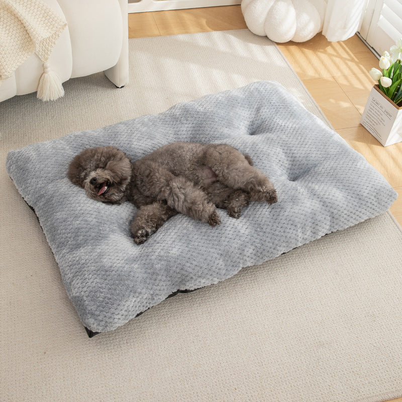 Extra comfortabele kussens