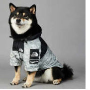 Wind-en waterproof regenjas