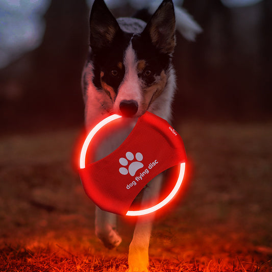 Interactieve lichtgevende frisbee