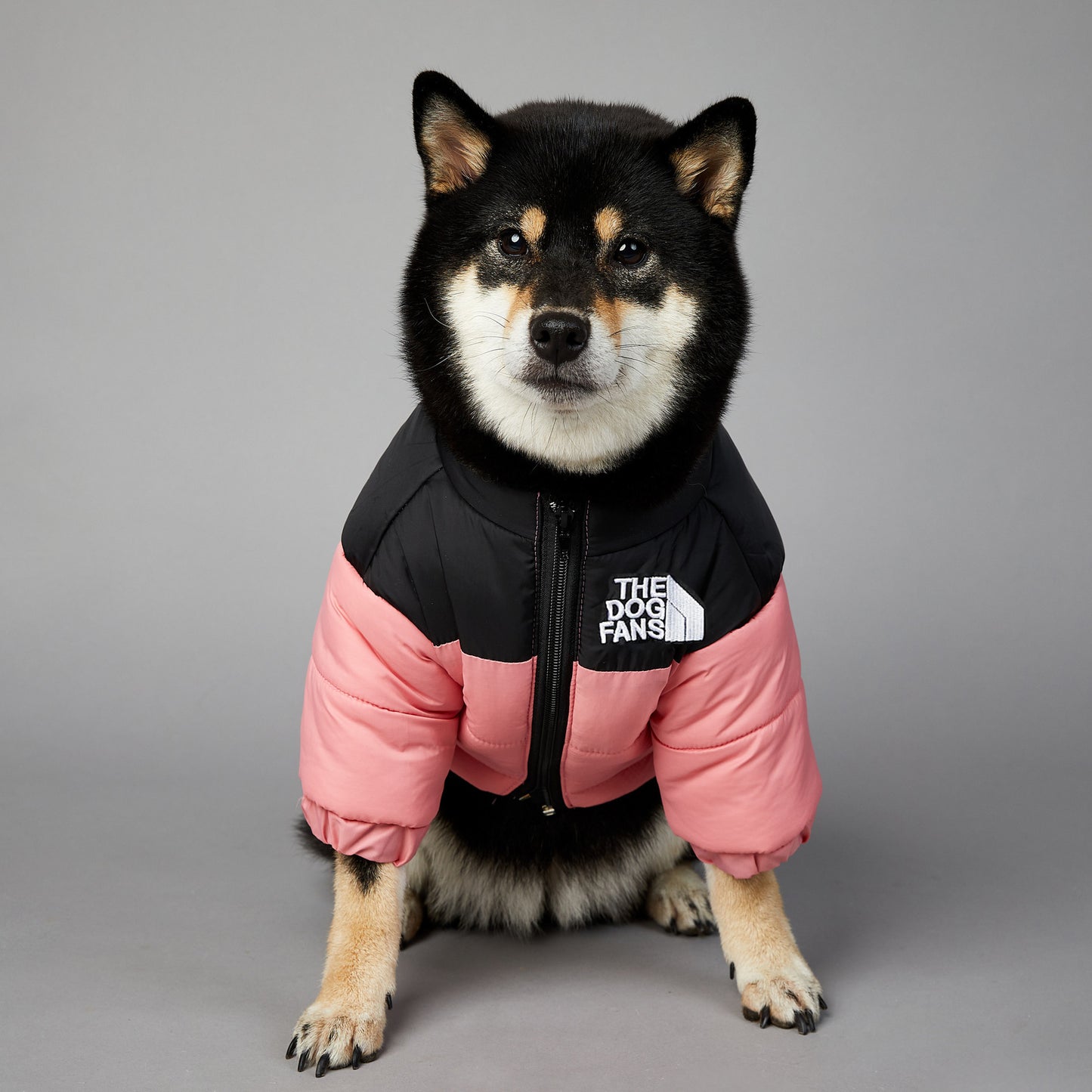 Waterproof en winddichte winterjas
