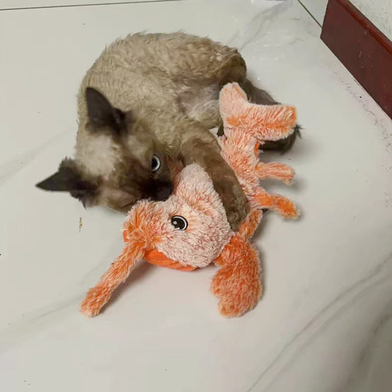 Bewegende kreeft voor kat en hond
