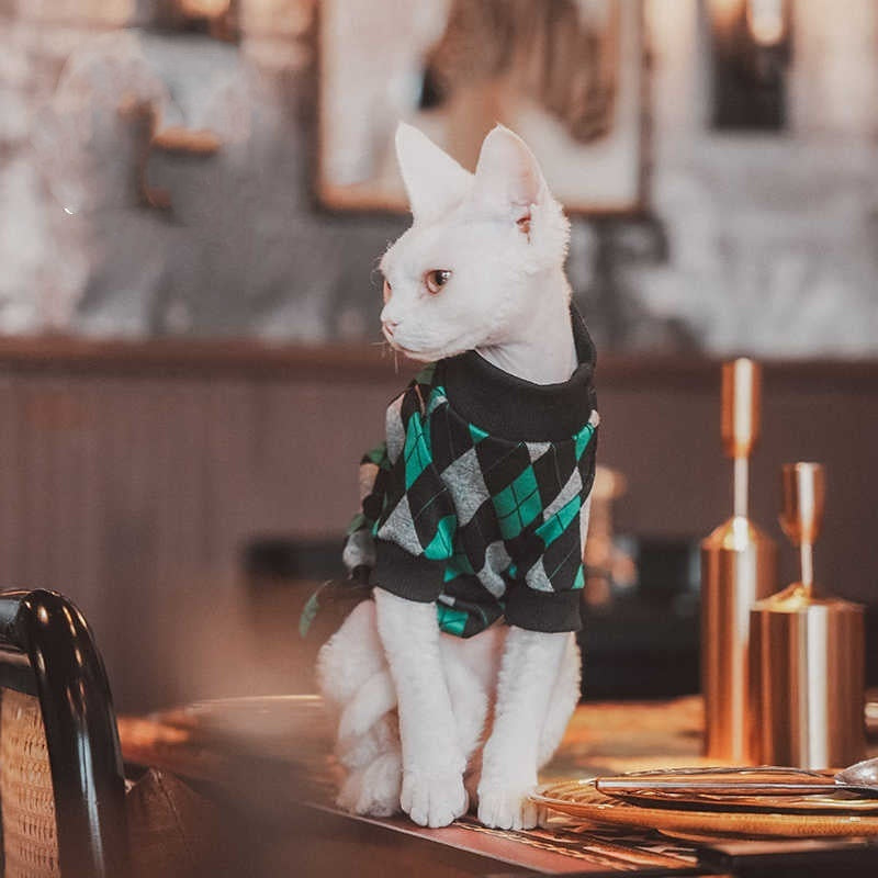 Hip katoenen truitje voor katten