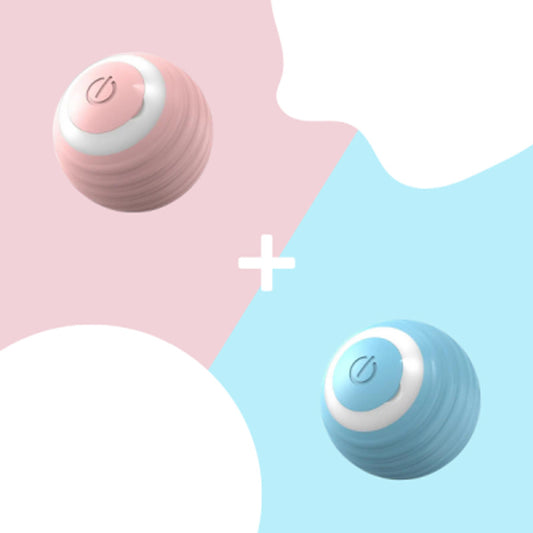 1+1 GRATIS interactieve speelbal