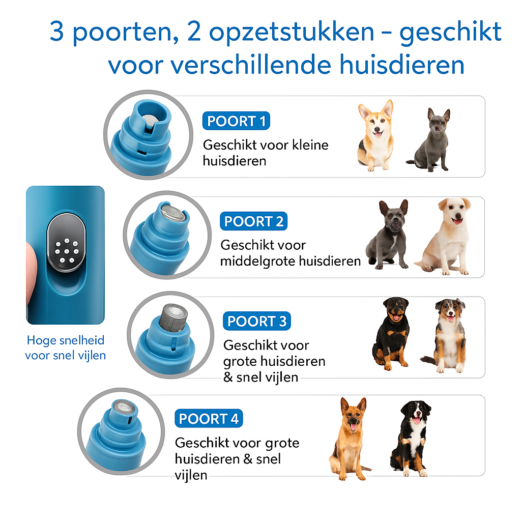 Nagelvijlset