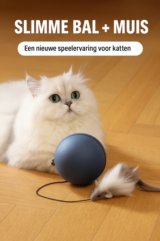 Interactieve rollende bal met muis