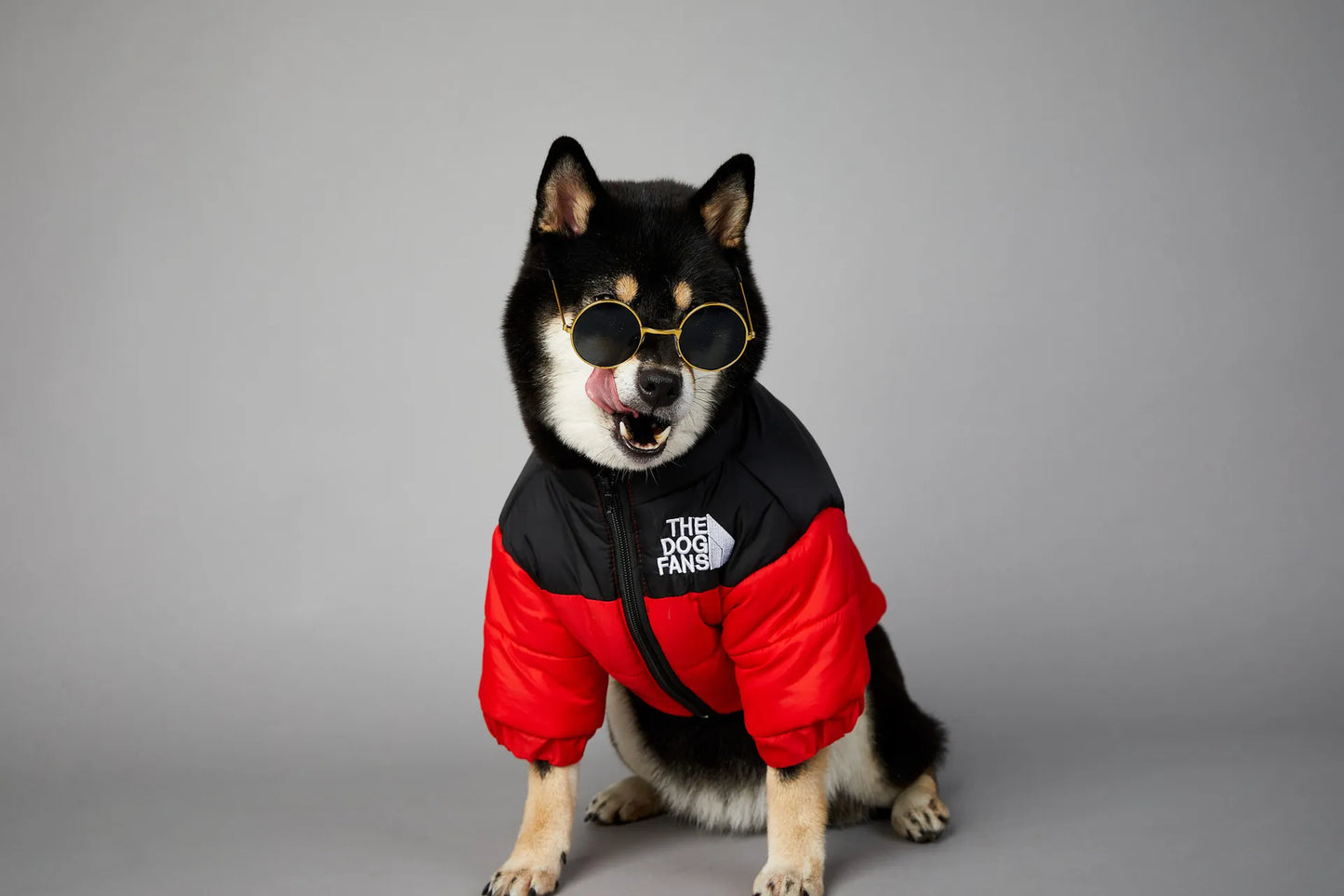 Waterproof en winddichte winterjas