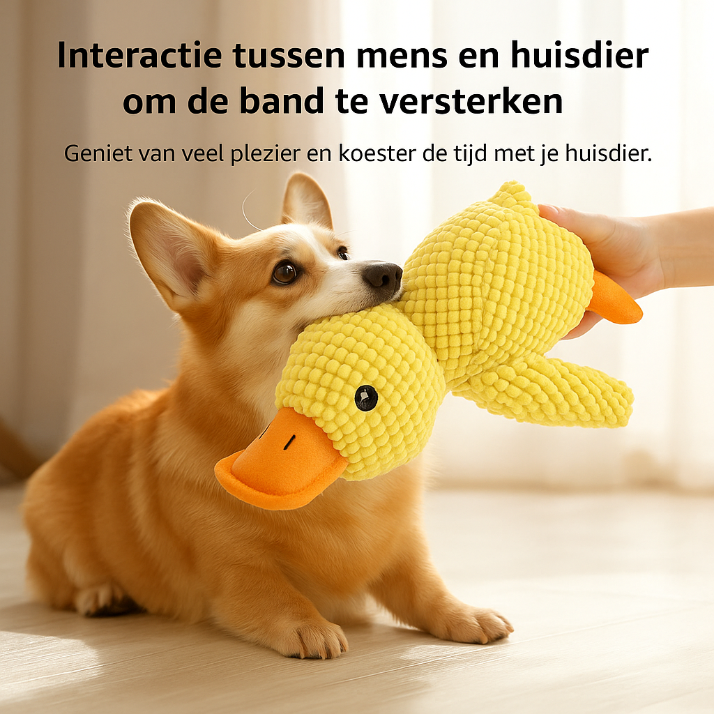 XL kauwbestendige eend voor tandverzorging