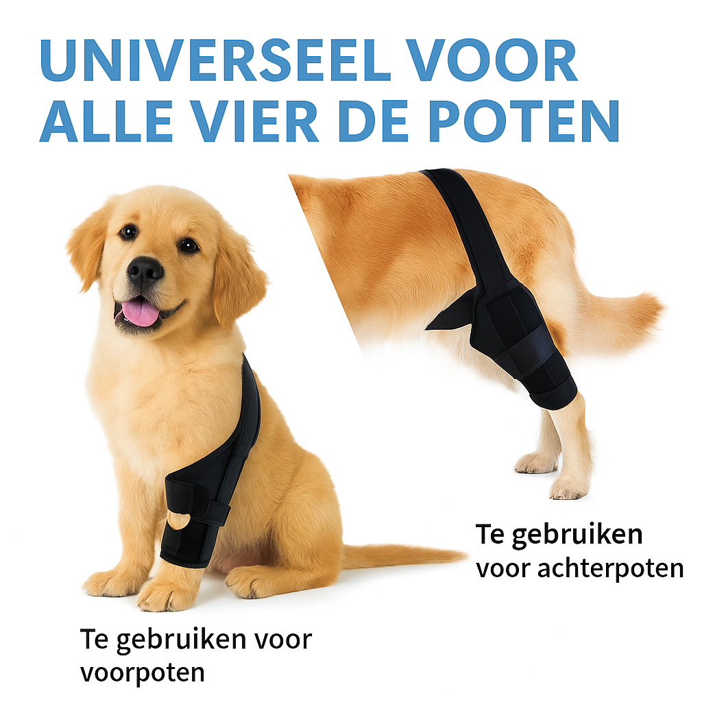 Rehabilitatie trainingsriem