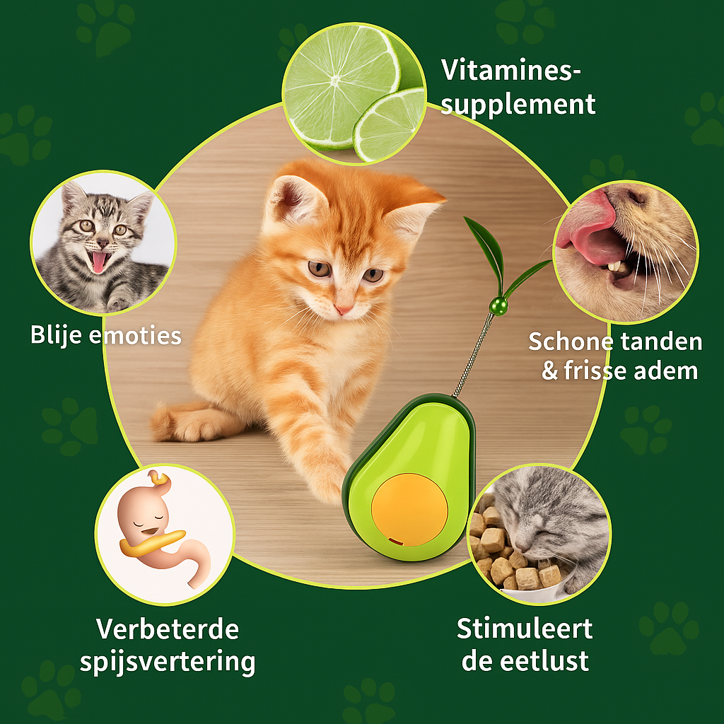 Catnip voedingsspeeltje met munt