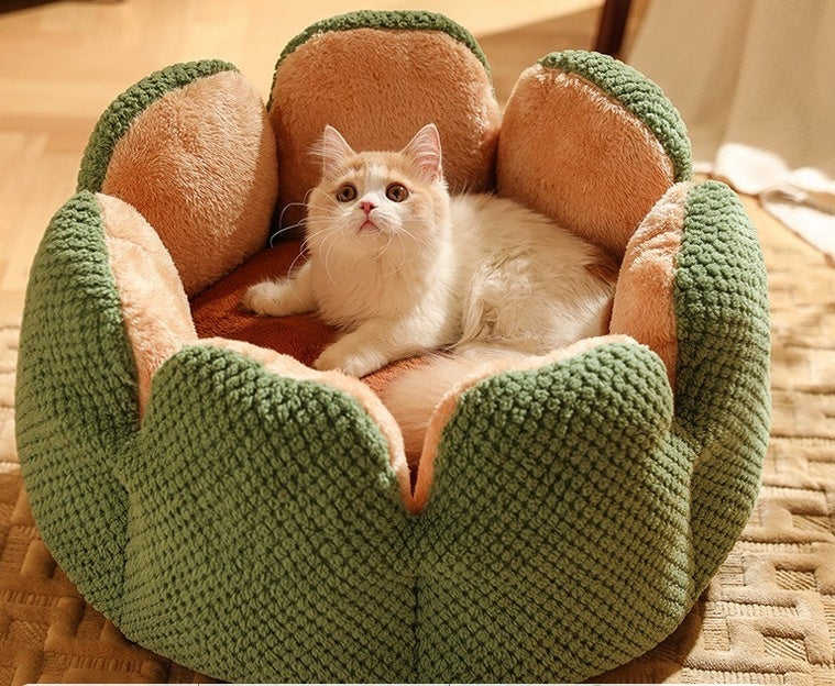 Zacht en warm cactusbladnestje