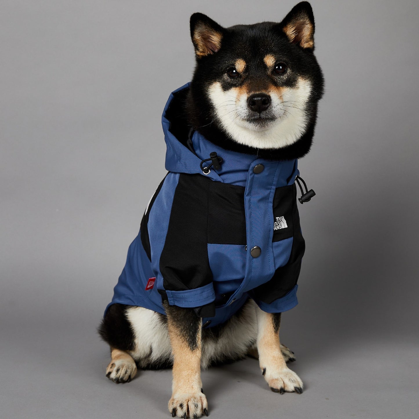 Wind-en waterproof regenjas blauw