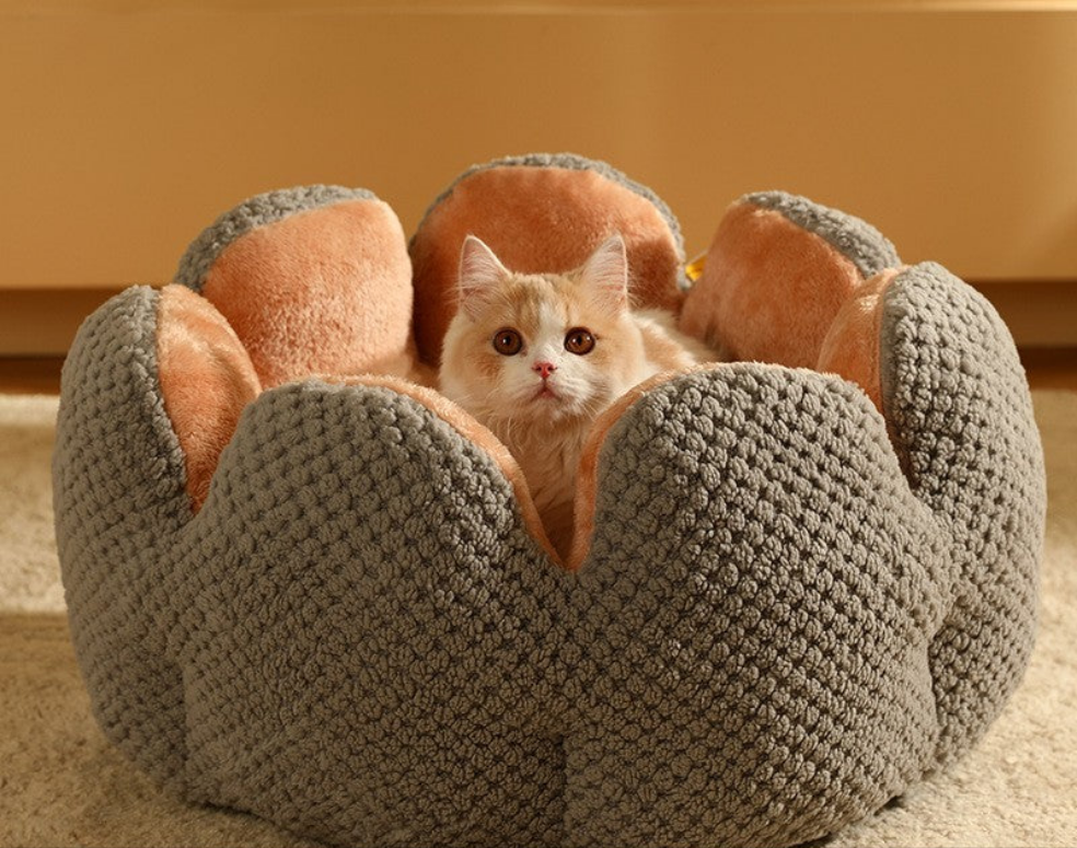 Zacht en warm cactusbladnestje