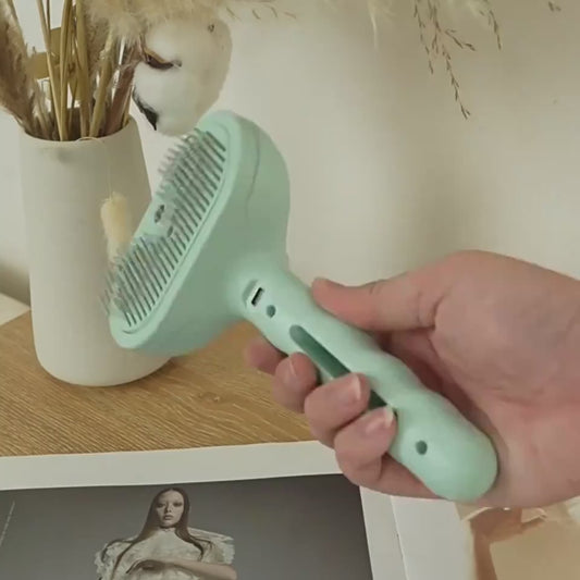 Professionele wellness stoomborstel SteamPro