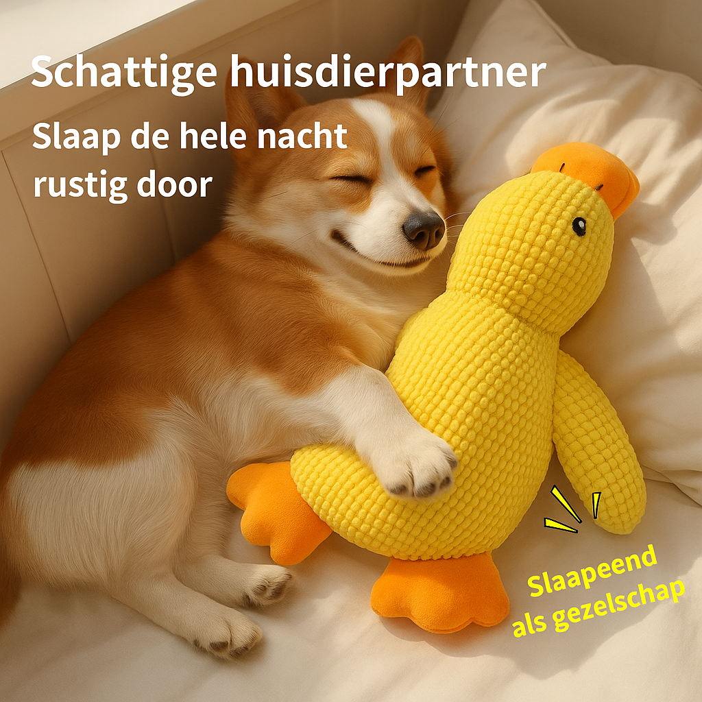 XL kauwbestendige eend voor tandverzorging